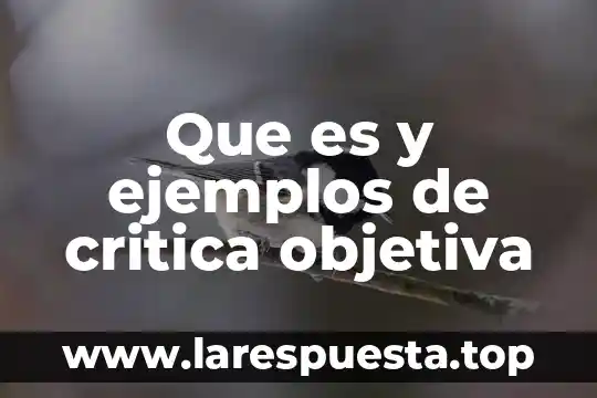 Que es una noticia objetiva 8 Que es y ejemplos de critica objetiva