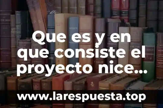 Que es y en que consiste el proyecto nice streams