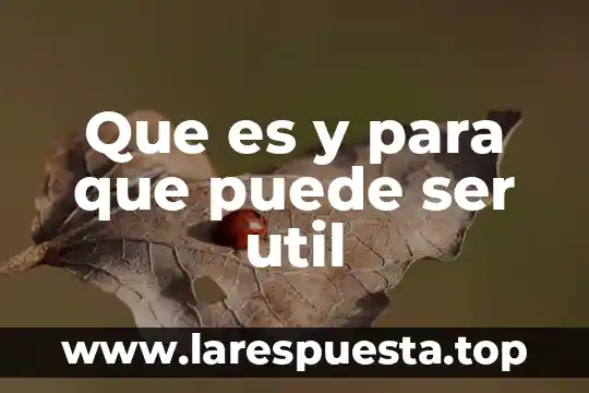 Que es y para que puede ser util
