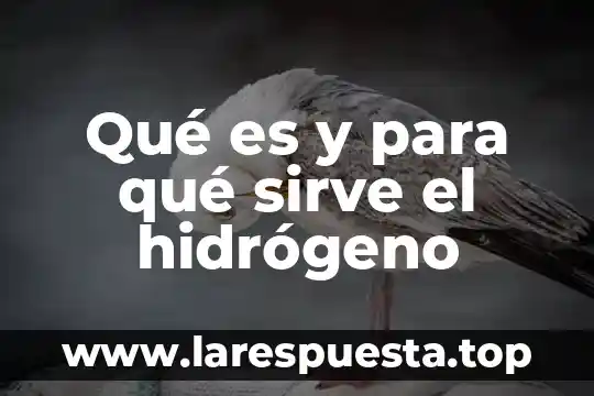Serialcloner que es y para que sirve 5 Qué es y para qué sirve el hidrógeno