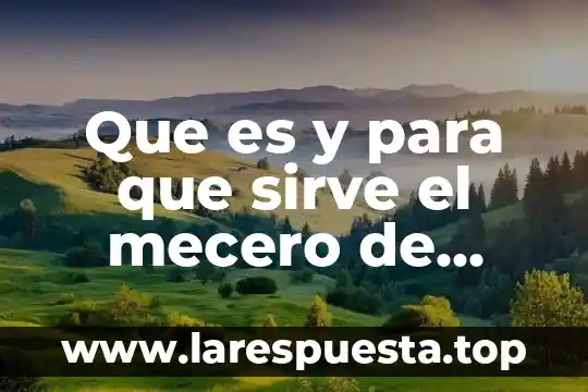 Que es el adobe y para que sirve 3 Que es y para que sirve el mecero de bunsen