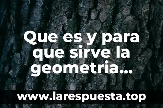 Que es y para que sirve la geometria analitica