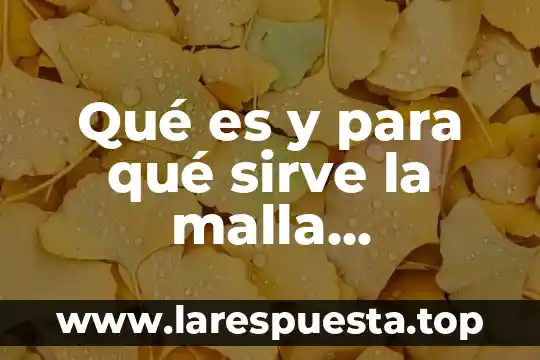 Que es una miuva y para que sirve 3 Qué es y para qué sirve la malla camaronera