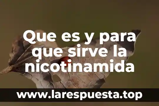 Que es ortiga para que sirve 7 Que es y para que sirve la nicotinamida