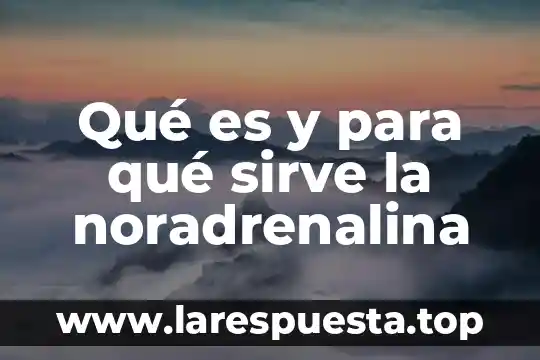 Qué es y para qué sirve la noradrenalina