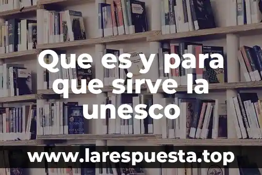 Toallas de microfibra deportivas que es y para qué sirve 7 Que es y para que sirve la unesco