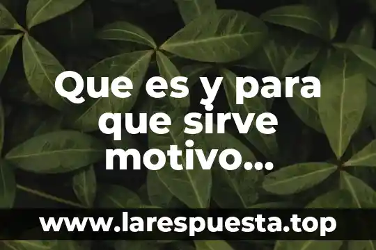 Toallas de microfibra deportivas que es y para qué sirve 4 Que es y para que sirve motivo fotografia