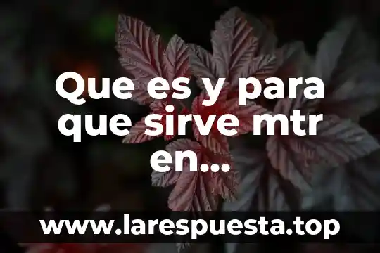 Que es y para que sirve el potencial de accion 7 Que es y para que sirve mtr en programacion
