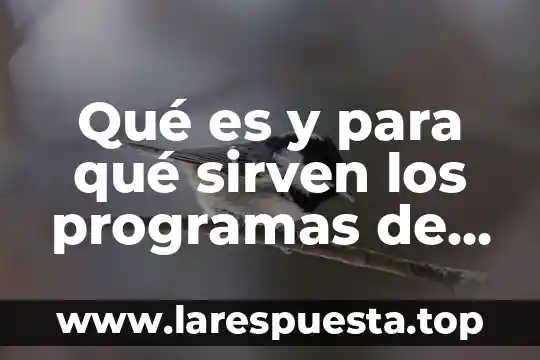 Que es y para que sirven las bocinas de computadora 5 Qué es y para qué sirven los programas de presentación