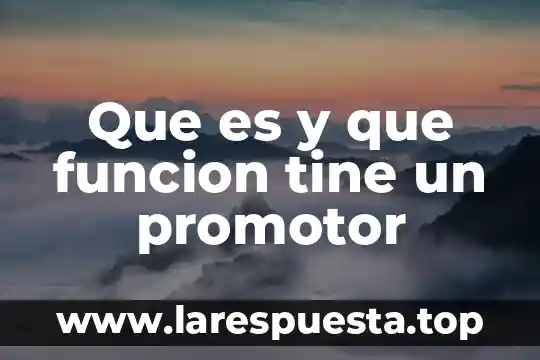 Que es funcion subsidiaria 5 Que es y que funcion tine un promotor