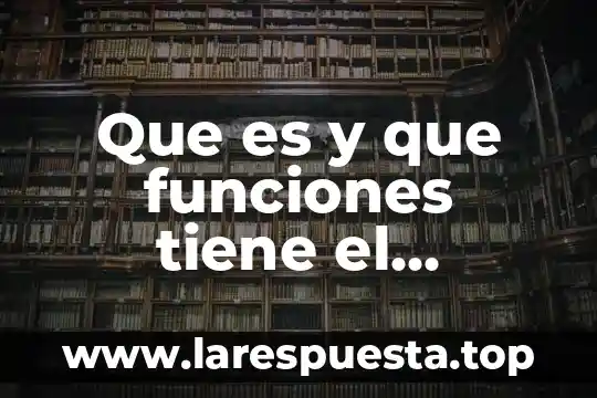 Qué es la grenetina y qué funciones tiene 6 Que es y que funciones tiene el introitus