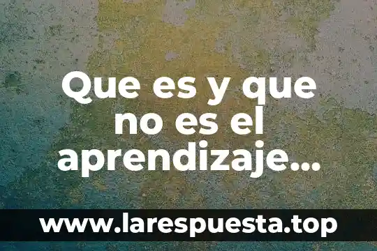 Que es y que no es el aprendizaje entre escuelas