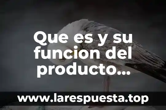 Qué es el producto interno bruto industrial 8 Que es y su funcion del producto interno bruto