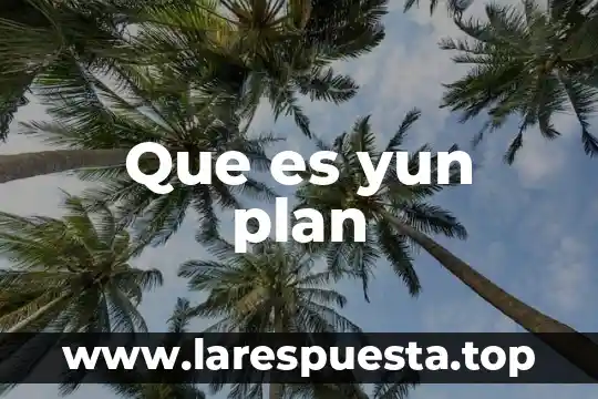 Que es plan de inventario 4 Que es yun plan