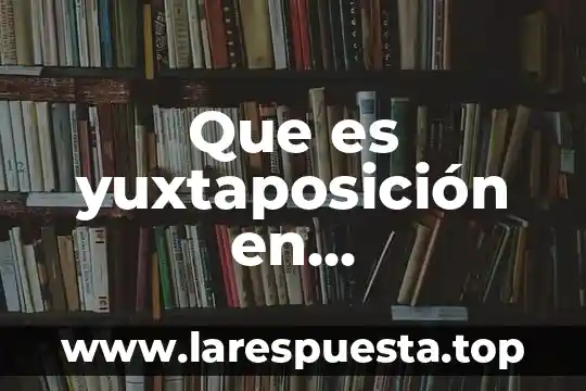 Que es yuxtaposición en contabilidad