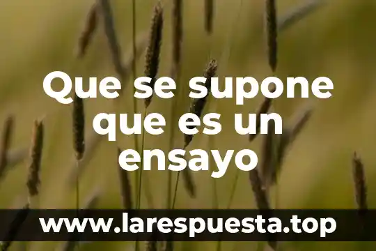 Que es un ensayo brayan 3 Que se supone que es un ensayo