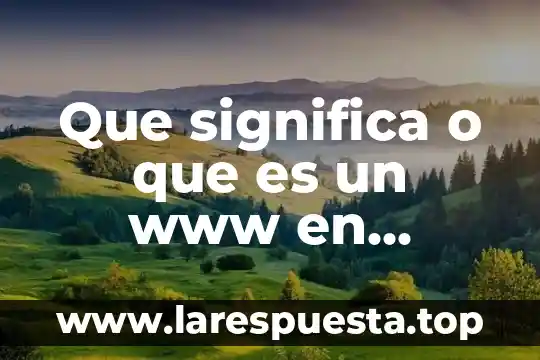 Que significa o que es un www en informatica