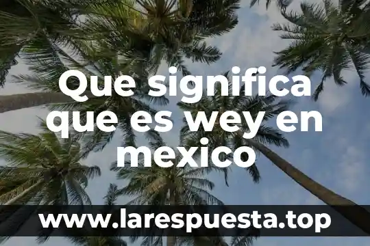 Qué significa que es una campaña promocional en contabilidad 3 Que significa que es wey en mexico