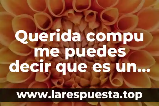 Que es una constante c++ 3 Querida compu me puedes decir que es un organizador grafico