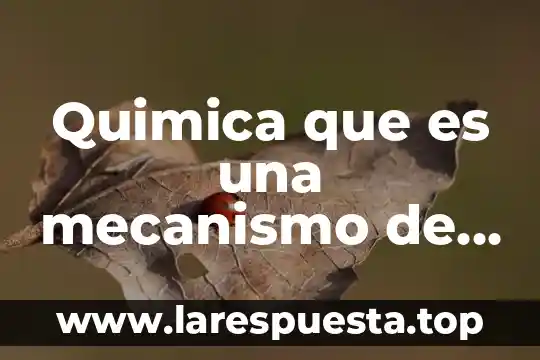Qué es un cuadrilátero y ejemplos 5 Quimica que es una mecanismo de reacción