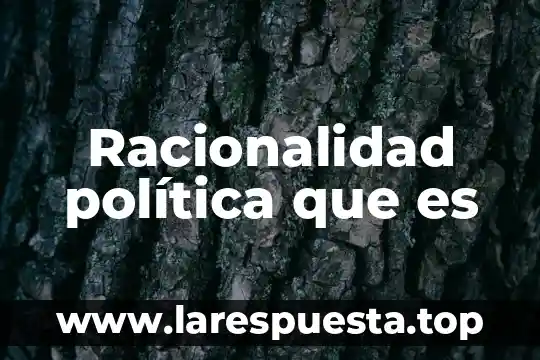 Que es la politica sabater 7 Racionalidad política que es