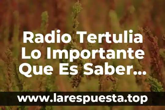 Radio Tertulia Lo Importante Que Es Saber Idiomas