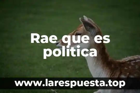 Rae que es politica