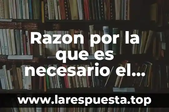 Qué es razon o nombre fiscal 7 Razon por la que es necesario el agua