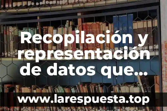 Recopilación y representación de datos que es