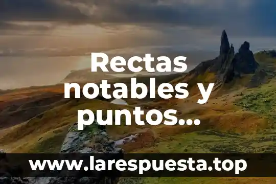 Que es la liberación de puntos 4 Rectas notables y puntos notables que es