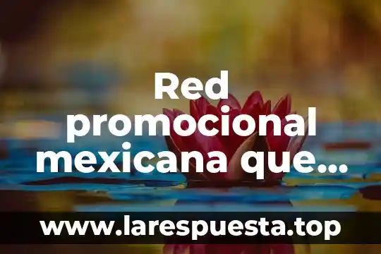 Que es el matrimonio sefun la constitucion politica mexicana 8 Red promocional mexicana que es