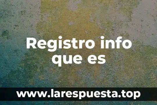 Registro info que es