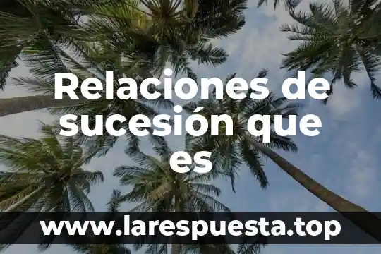 Qué es una relaciones de pareja sana 4 Relaciones de sucesión que es