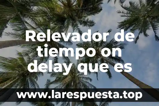 Relevador de tiempo on delay que es