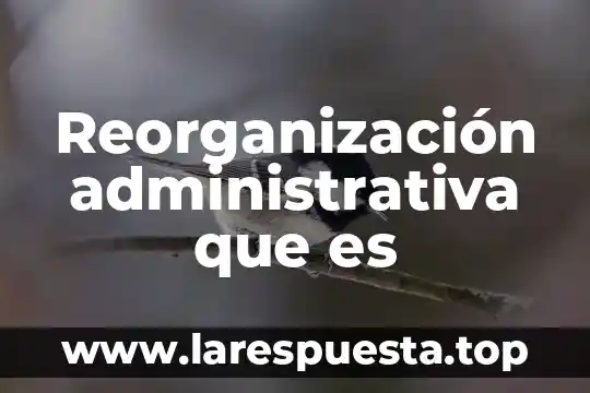 Que es el alcance en una auditoria administrativa 3 Reorganización administrativa que es