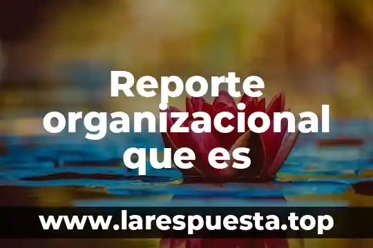 Que es un trastorno sexual psicologia 3 Reporte organizacional que es