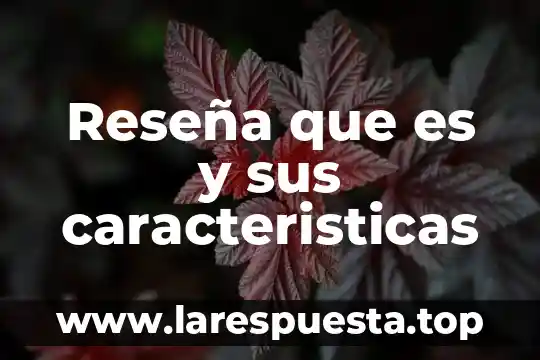 Que es una reseña editorial definicion 6 Reseña que es y sus caracteristicas