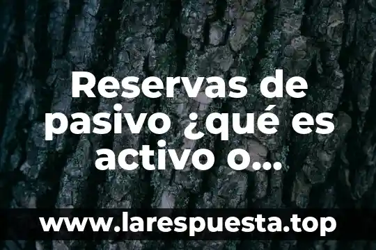 Reservas de pasivo ¿qué es activo o pasivo?