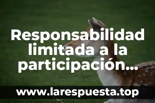 Responsabilidad limitada a la participación social que es