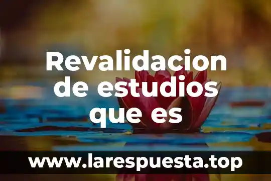 Revalidacion de estudios que es