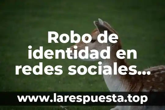 Robo de identidad en redes sociales que es