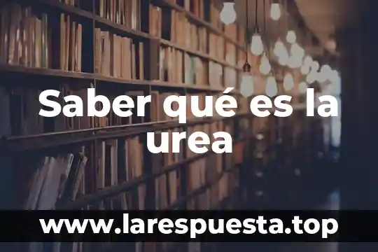Sin saber que es lo que hago 4 Saber qué es la urea