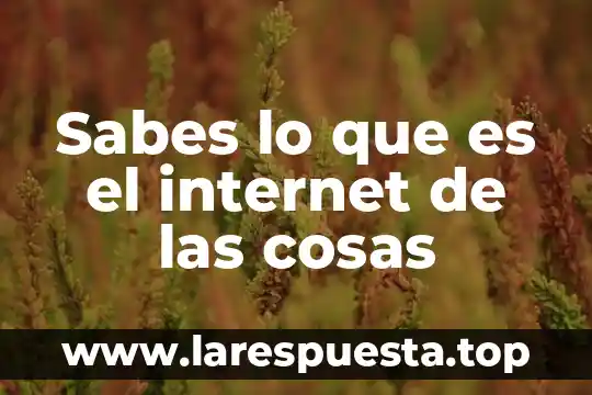 Sabes que es el teatro clasico 5 Sabes lo que es el internet de las cosas
