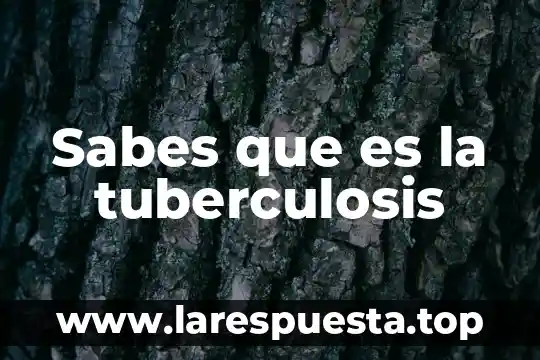 Sabes que es el teatro clasico 7 Sabes que es la tuberculosis