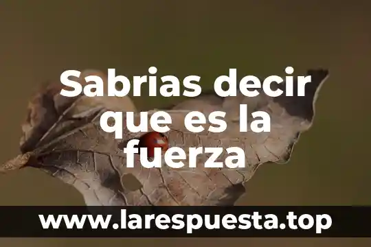 Qué es la fuerza boyante 7 Sabrias decir que es la fuerza