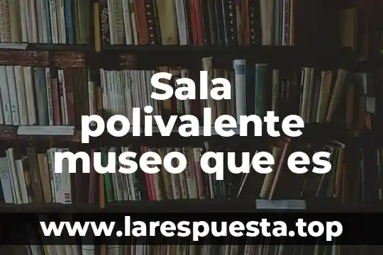 Sala polivalente museo que es