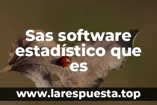 Que es un dato numerico estadistico 6 Sas software estadístico que es