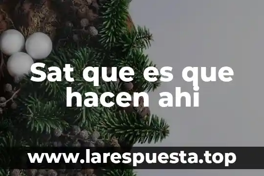 Que es documentos relacionados en sat 8 Sat que es que hacen ahi