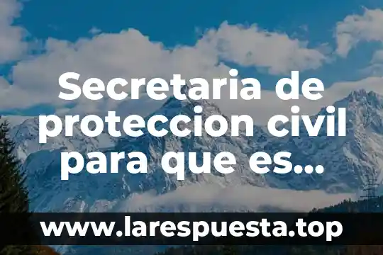 Que es vicio en derecho civil 6 Secretaria de proteccion civil para que es necesario