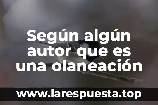 Qué es lo concreto según el autor 5 Según algún autor que es una olaneación